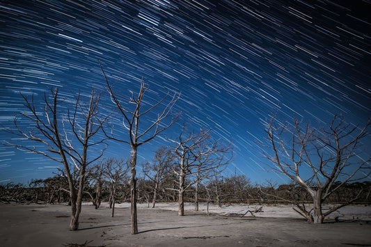 Mastering Star Trail Photography: Tips, Tricks, and Techniques for Beginners