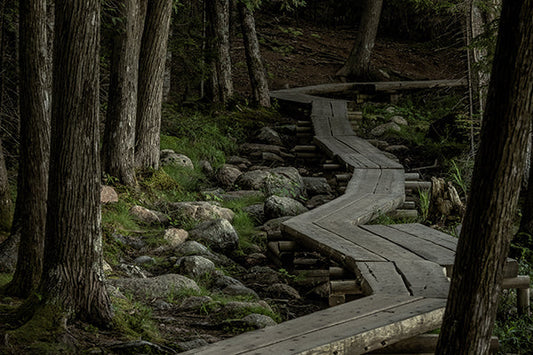 Photography in Acadia National Park