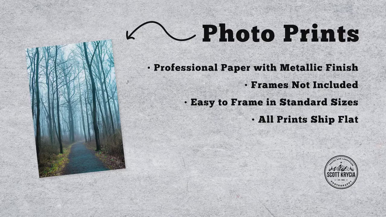 Oldsmobile Photo - Gift for Men, Home Decor, Wall Decor