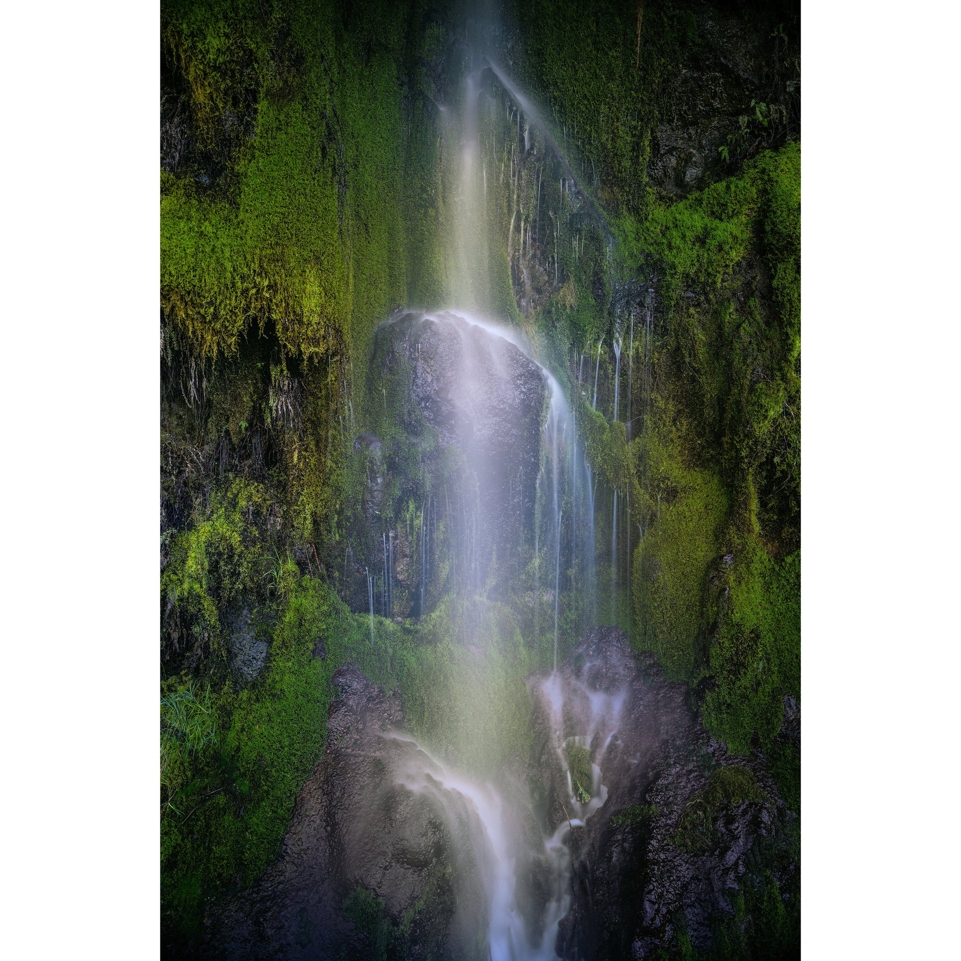 Moss Fall - Scott Krycia Photography