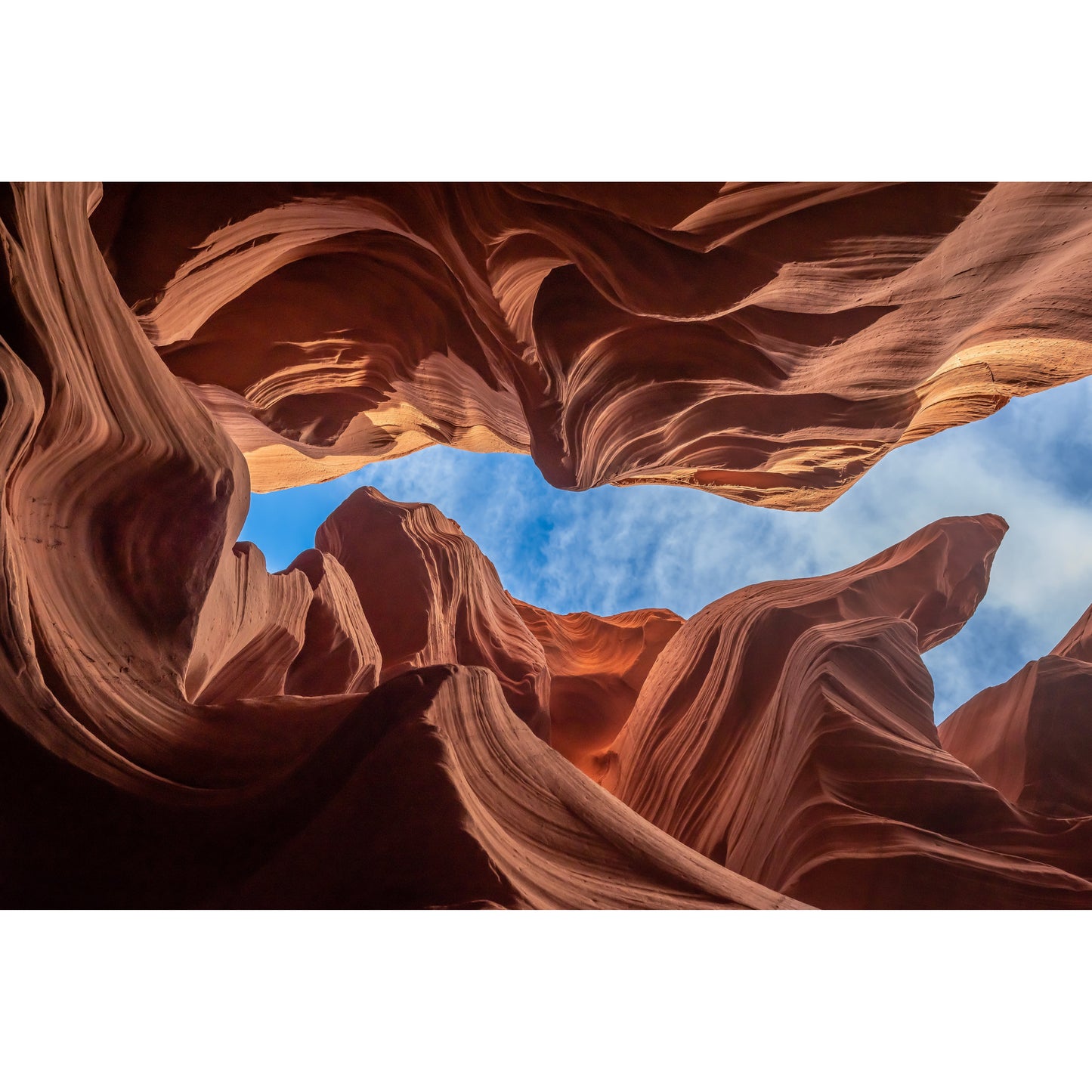 Antelope #1 - Scott Krycia Photography