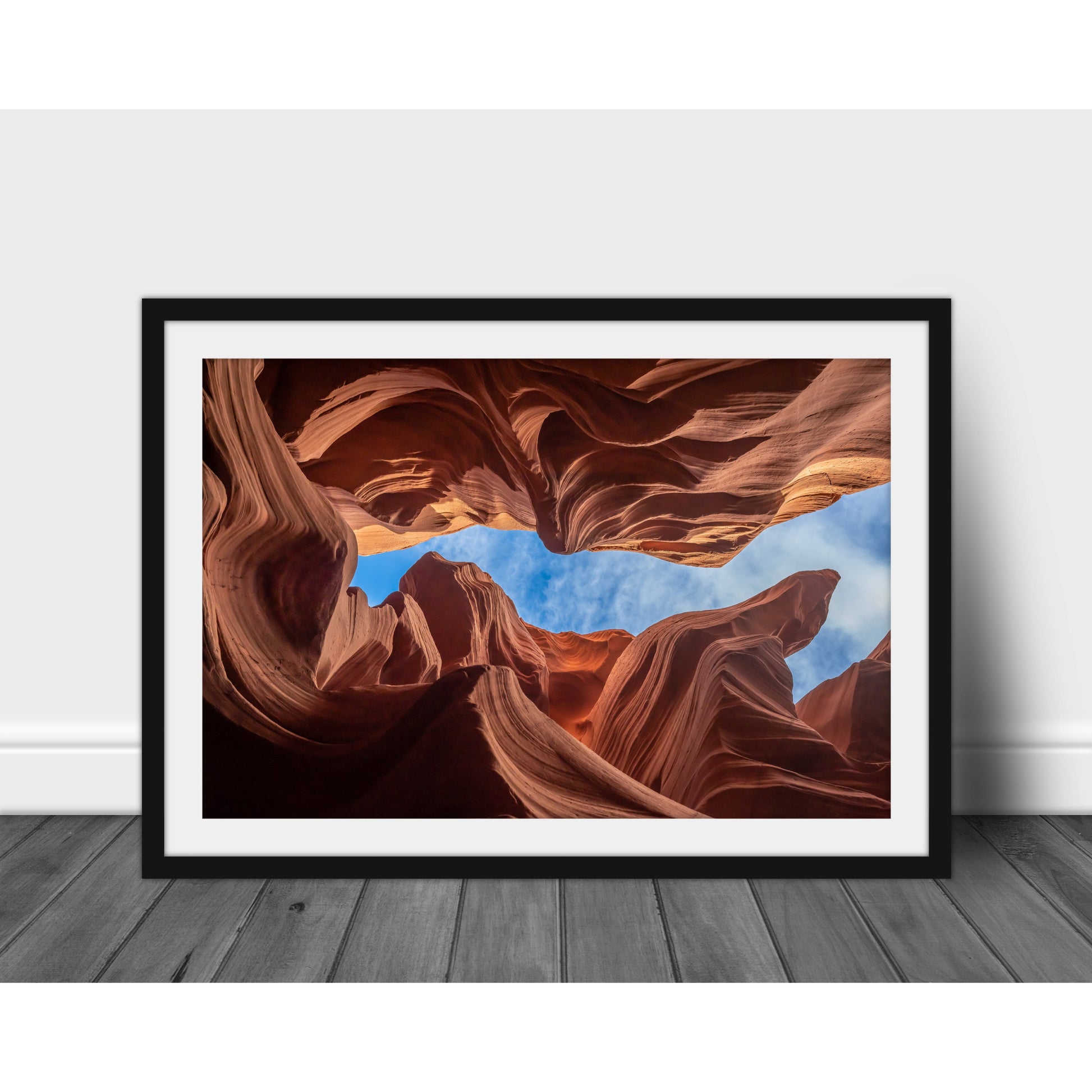 Antelope #1 - Scott Krycia Photography