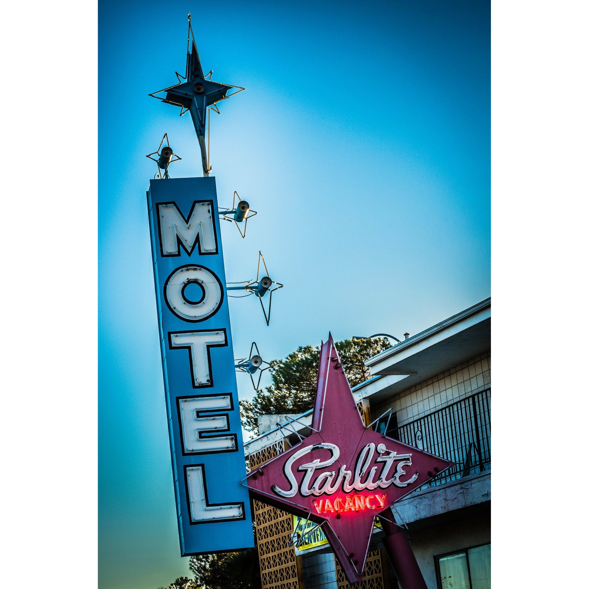 Starlite - Scott Krycia Photography