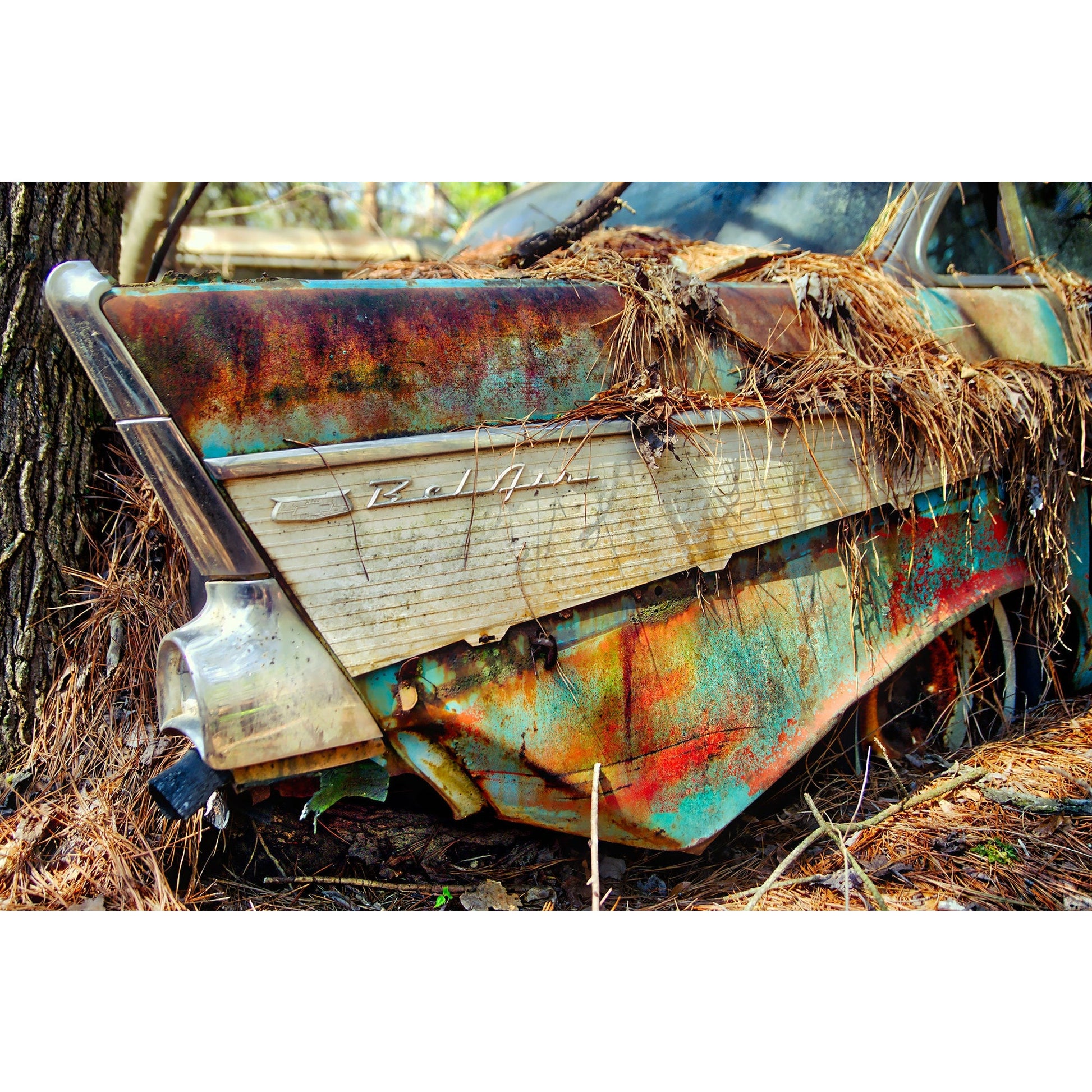 Bel Air #2 - Scott Krycia Photography