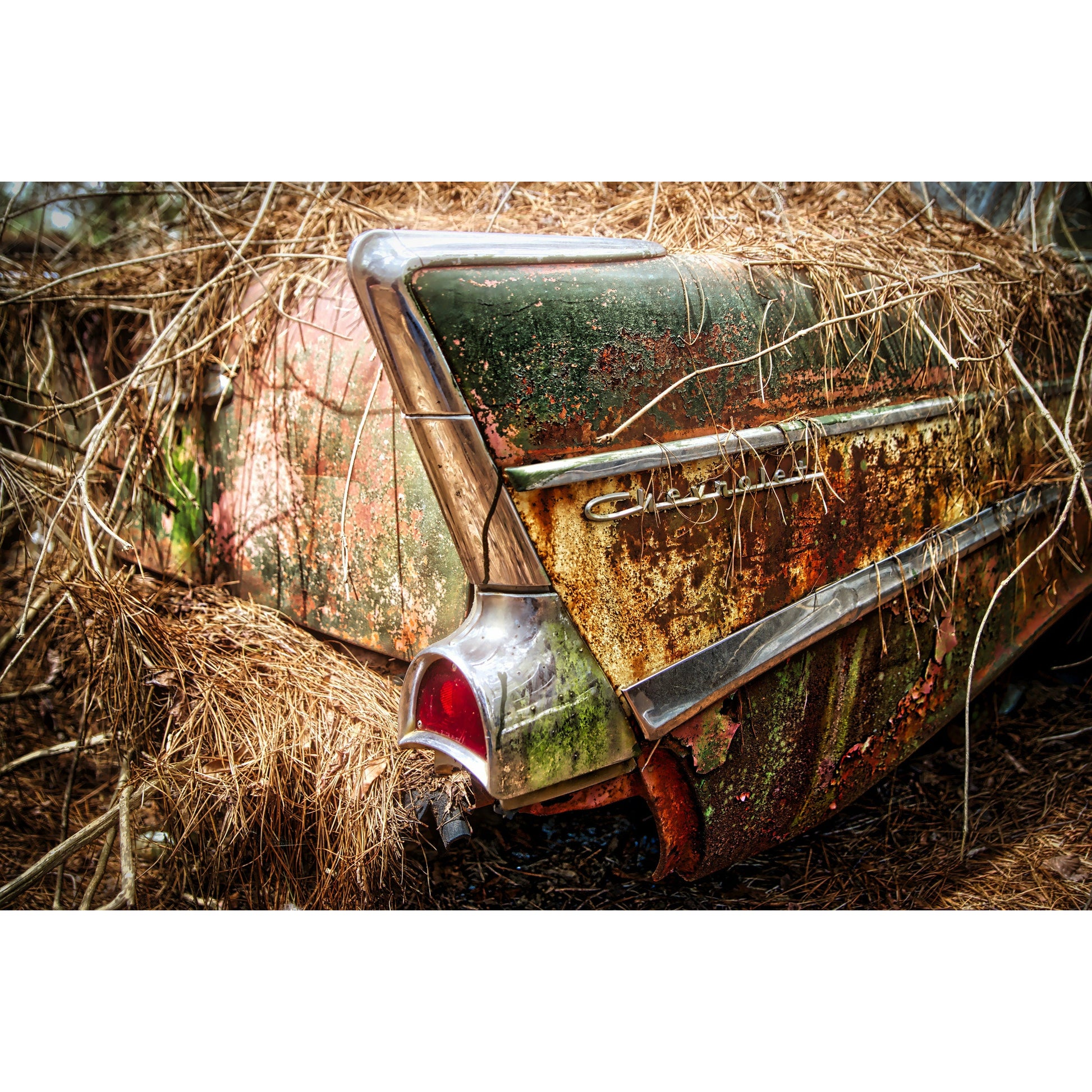 Bel Air - Scott Krycia Photography