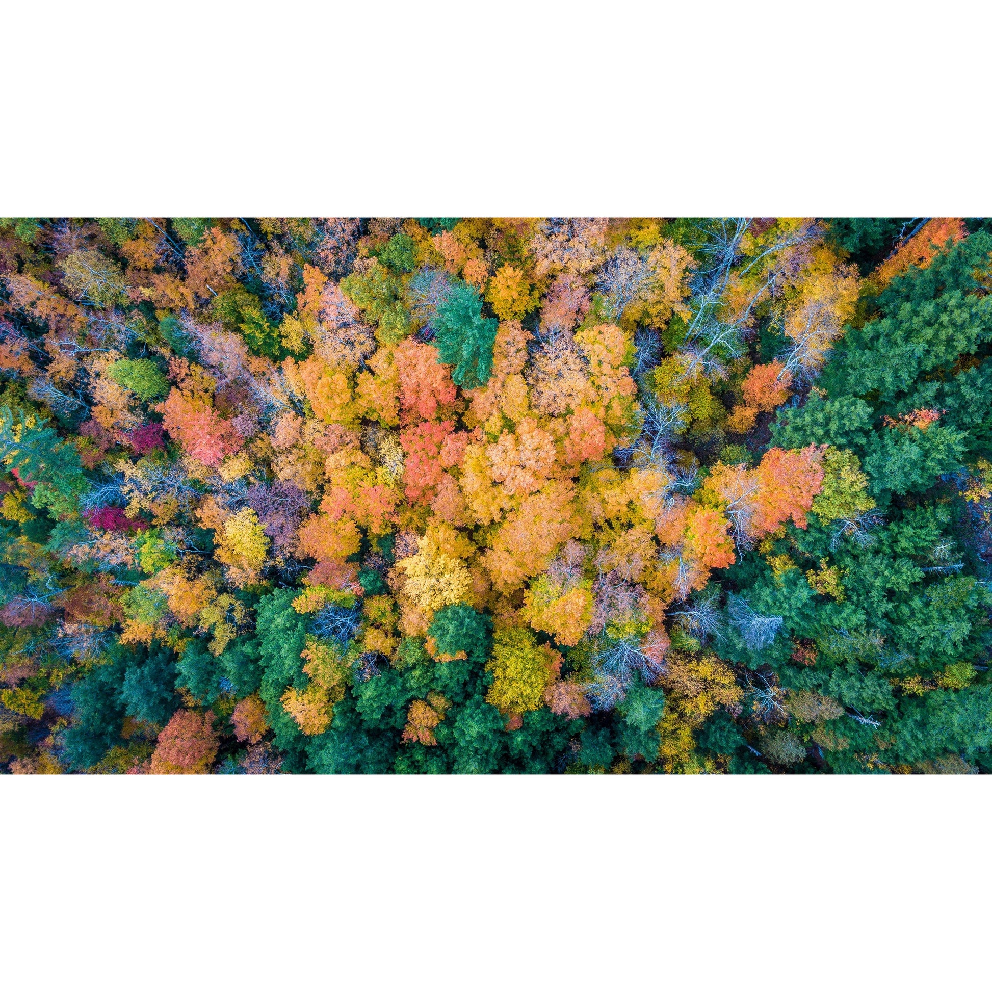 Adirondack Color - Scott Krycia Photography