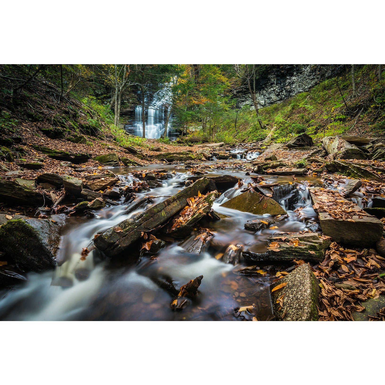 Ricketts Glenn Waterfall #6 - Scott Krycia Photography
