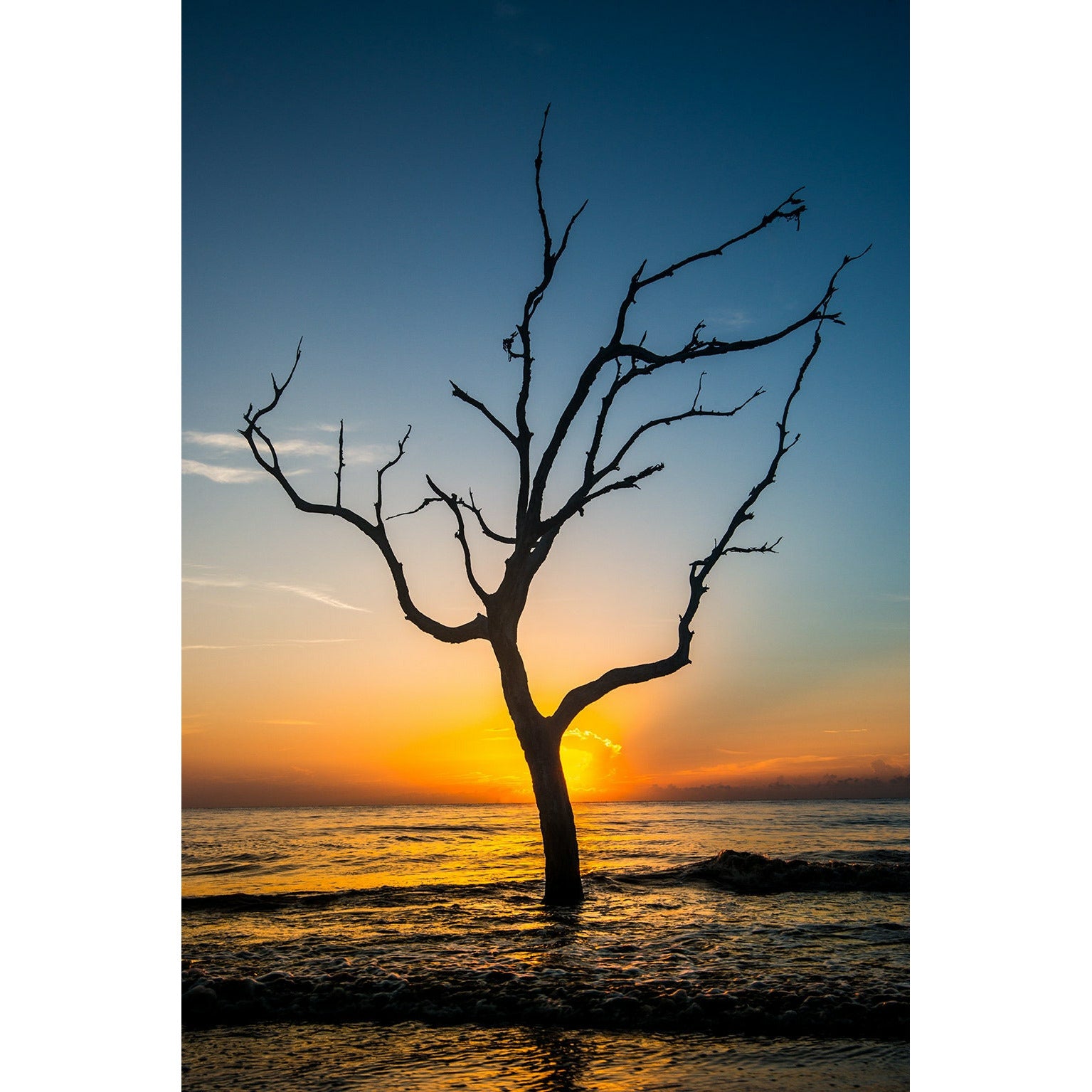 Driftwood Sunset - Scott Krycia Photography