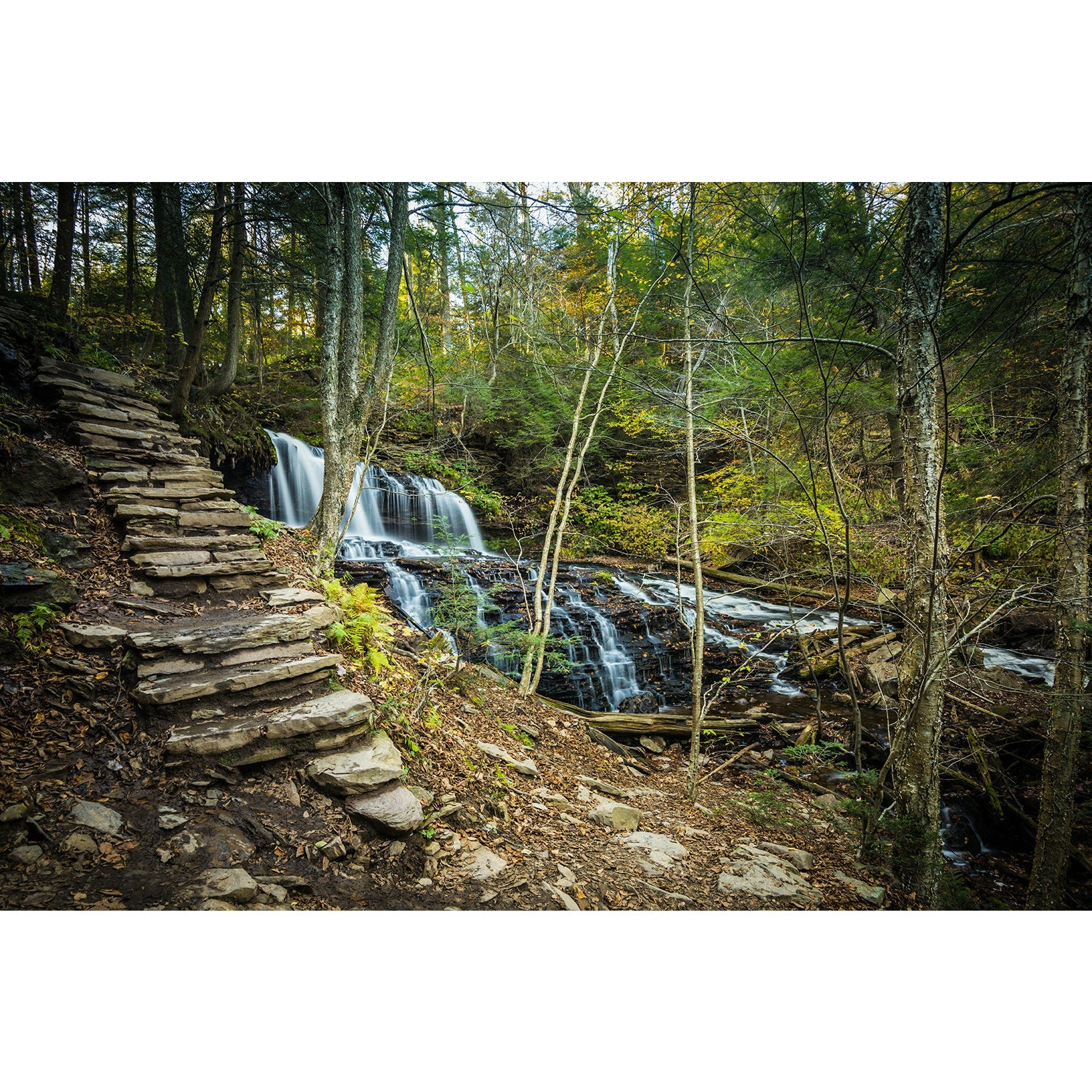 Ricketts Glenn Waterfall #5 - Scott Krycia Photography