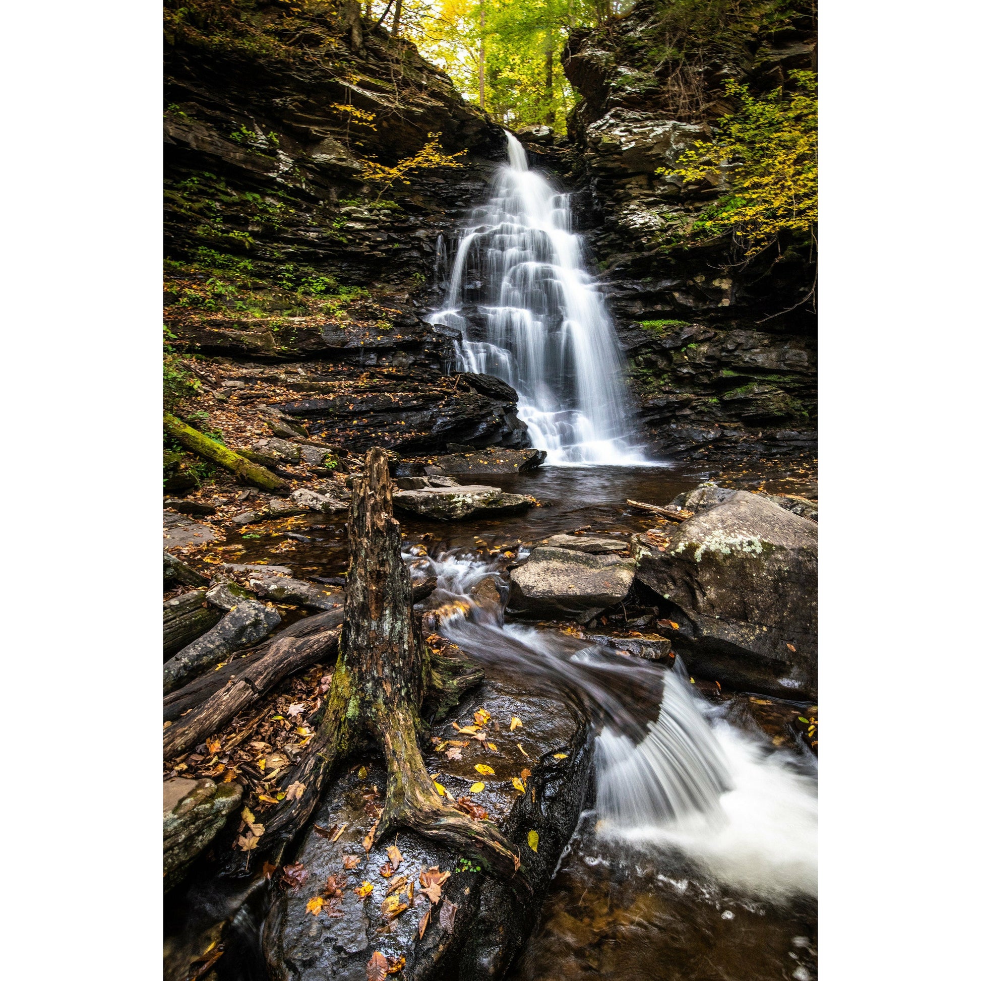 Ricketts Glenn #3 - Scott Krycia Photography