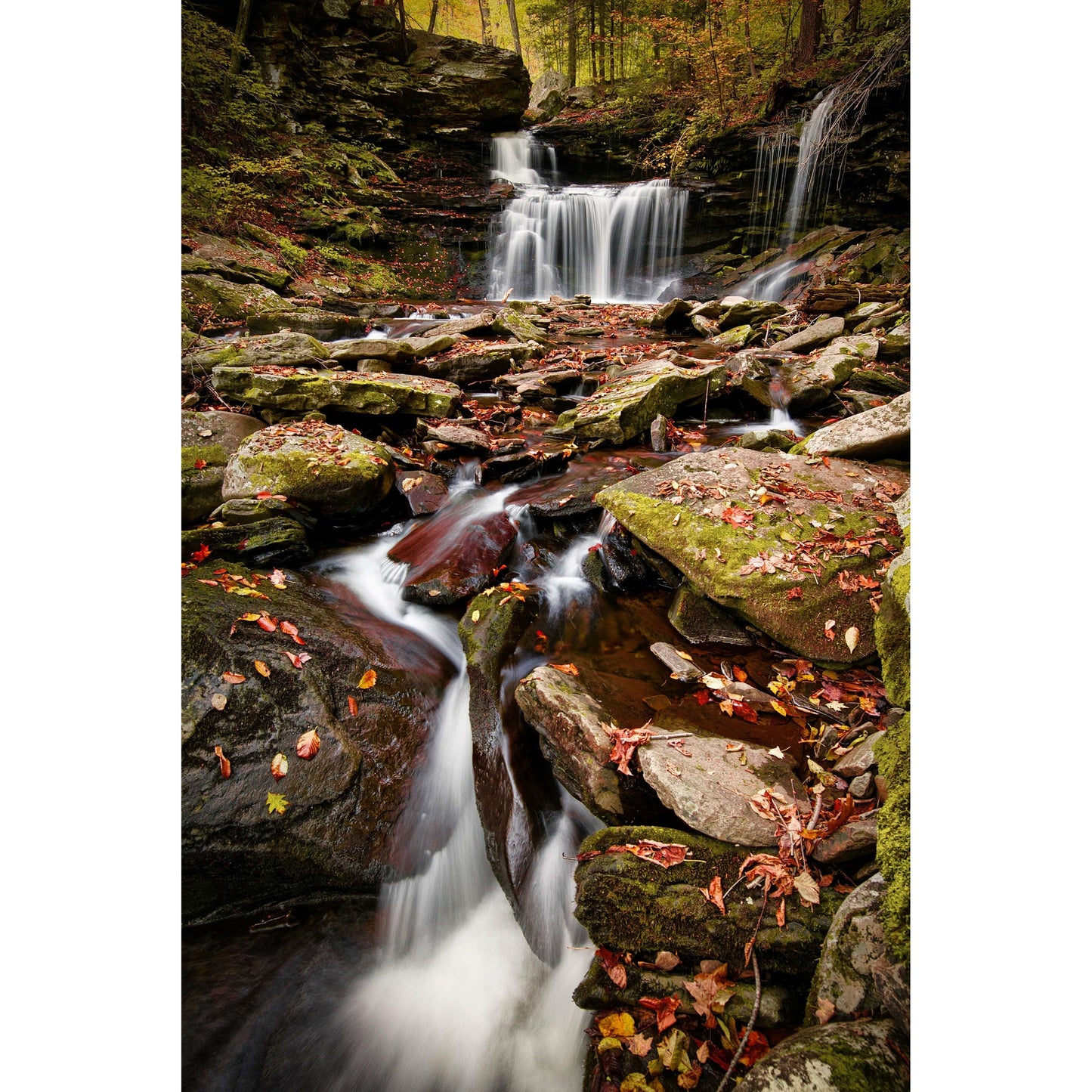 Ricketts Glenn Waterfall #4 - Scott Krycia Photography