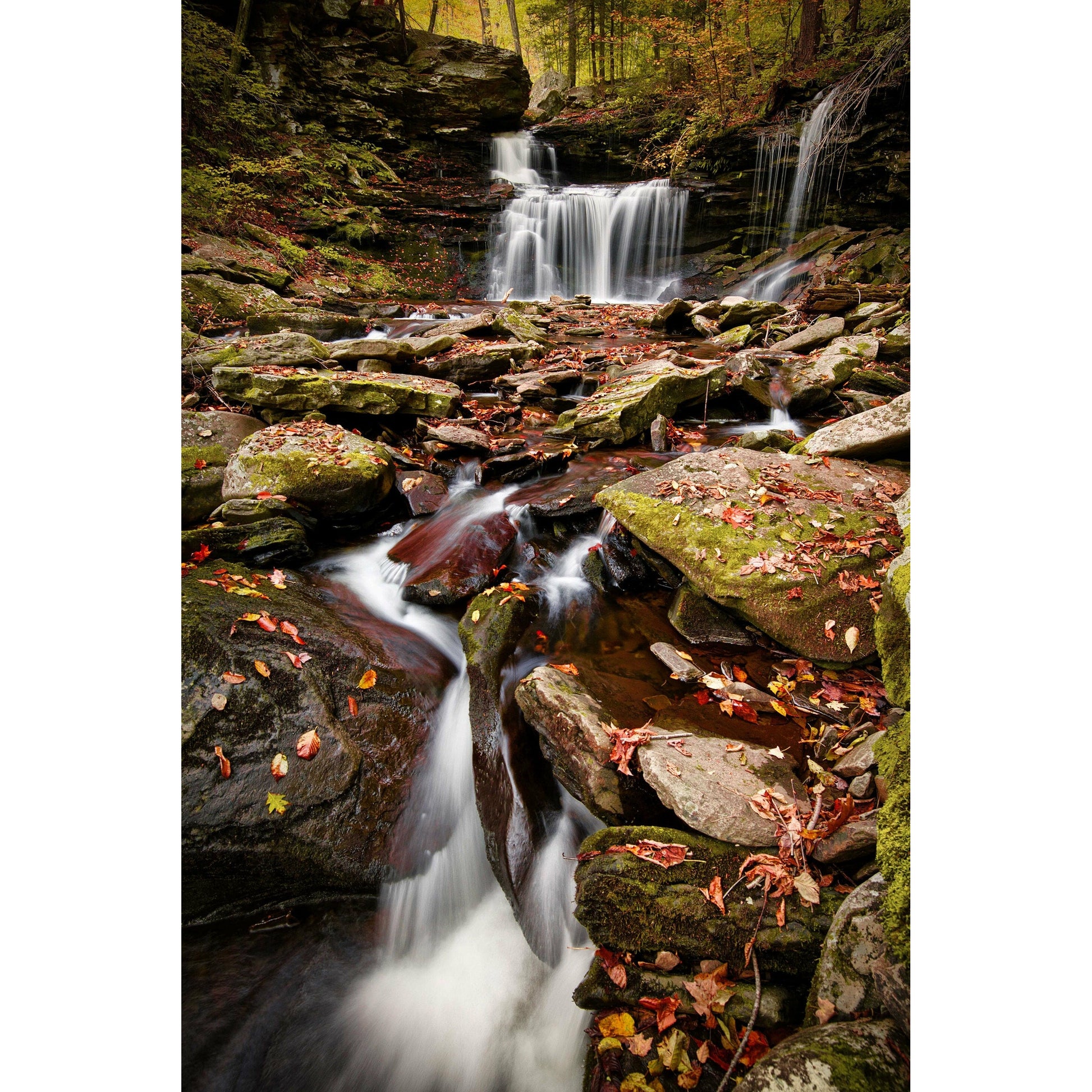 Ricketts Glenn Waterfall #4 - Scott Krycia Photography