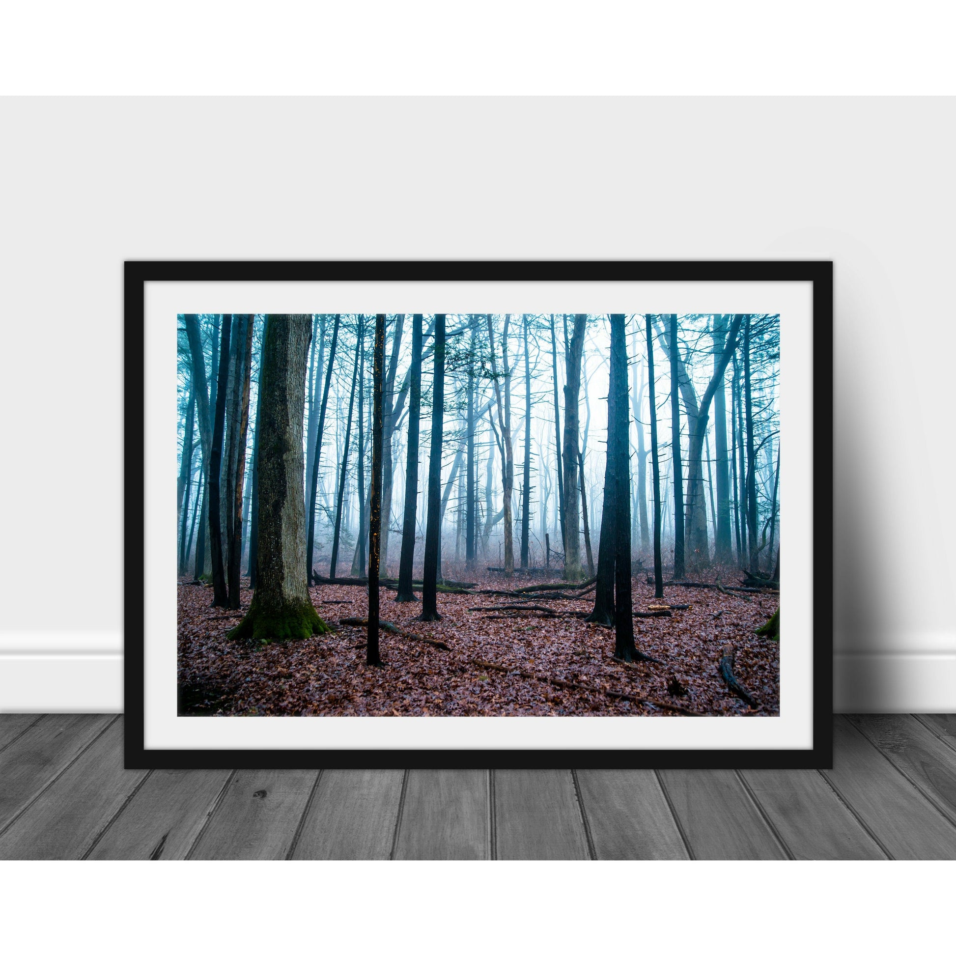 Foggy Path #3 - Scott Krycia Photography