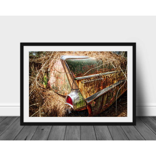 Bel Air - Scott Krycia Photography