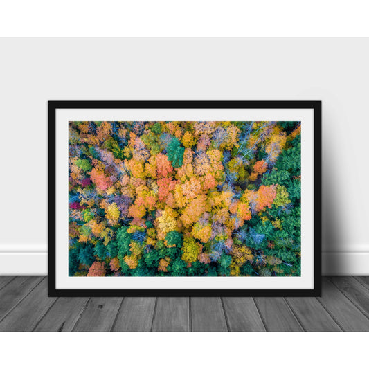 Adirondack Color - Scott Krycia Photography