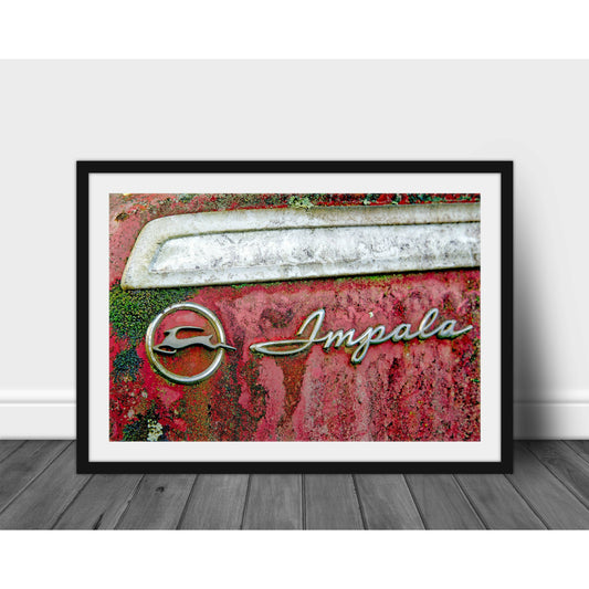 Impala Emblem - Scott Krycia Photography