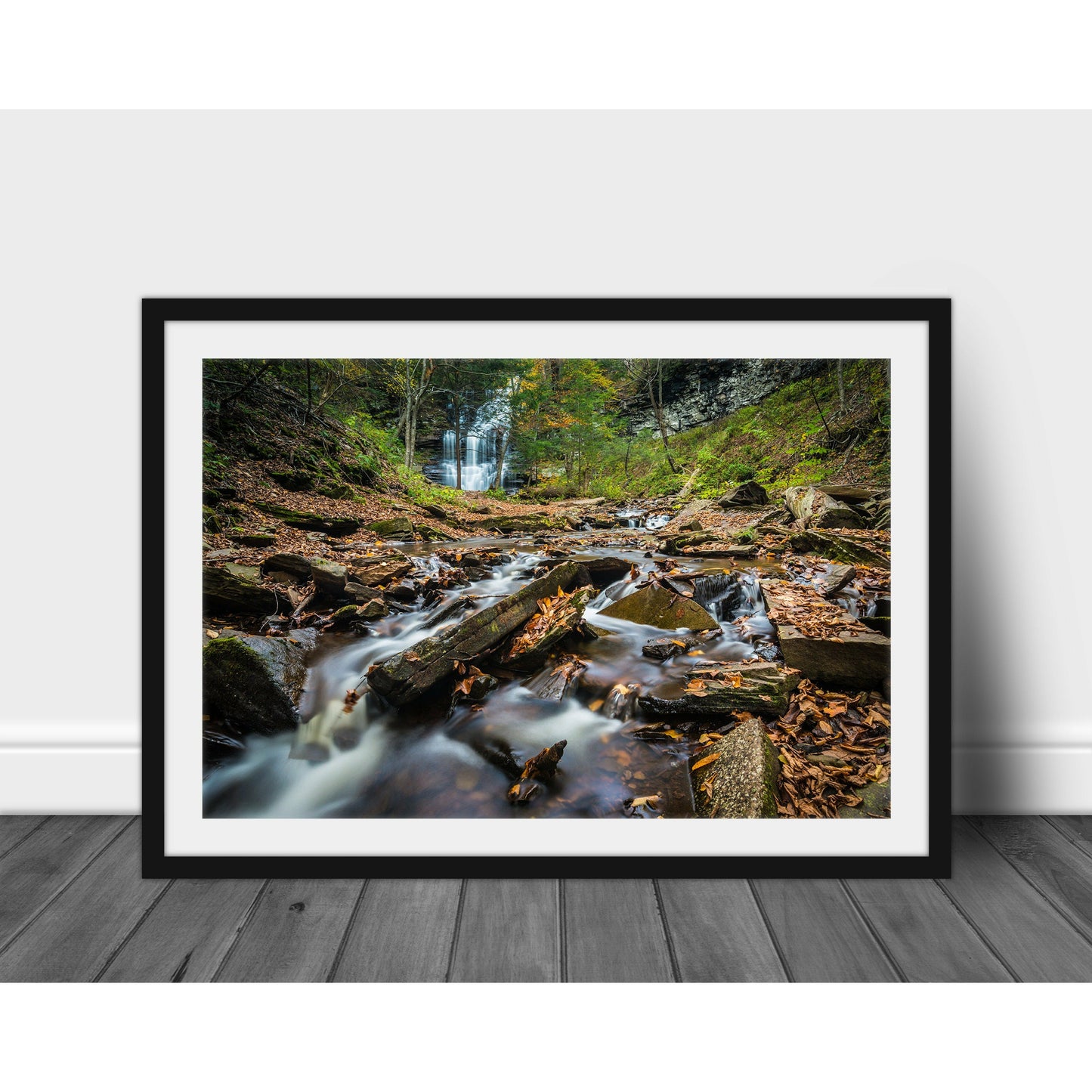 Ricketts Glenn Waterfall #6 - Scott Krycia Photography