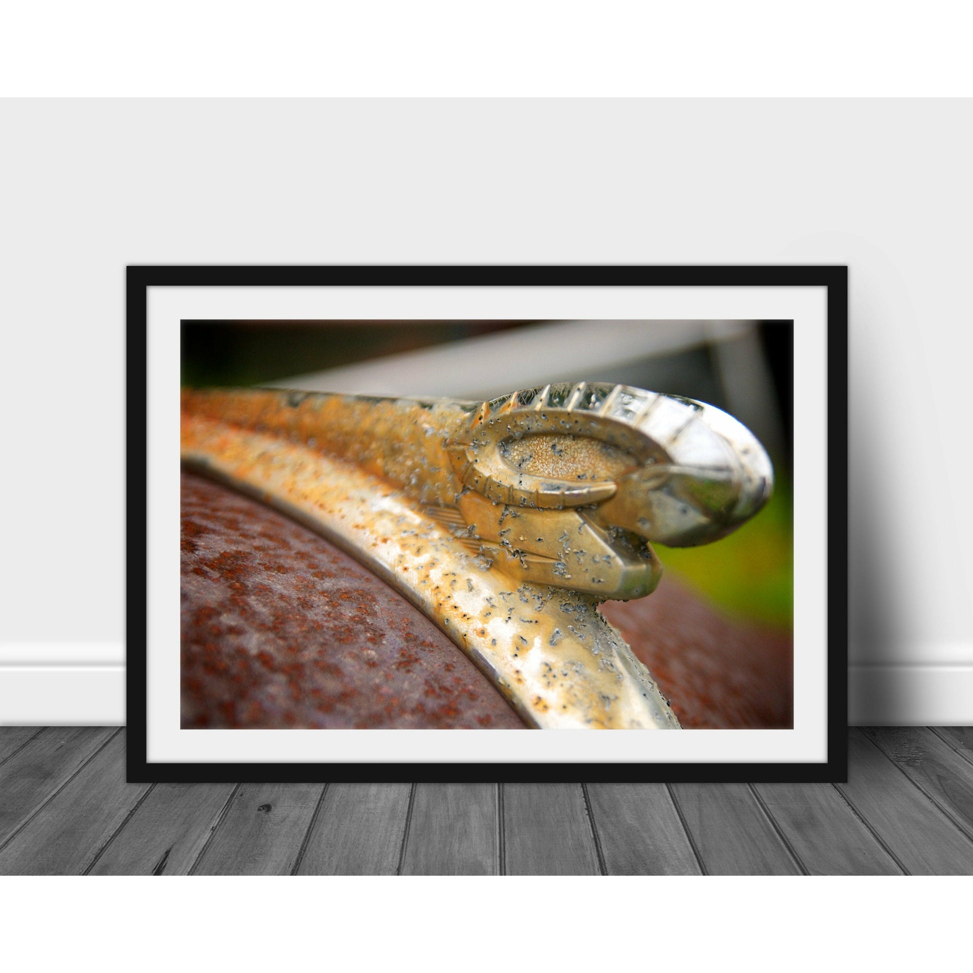 Ram - Scott Krycia Photography