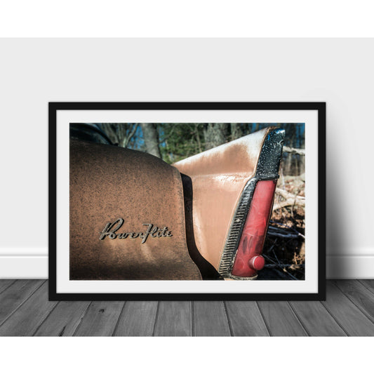 Fin #1 - Scott Krycia Photography