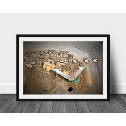 Desoto - Scott Krycia Photography