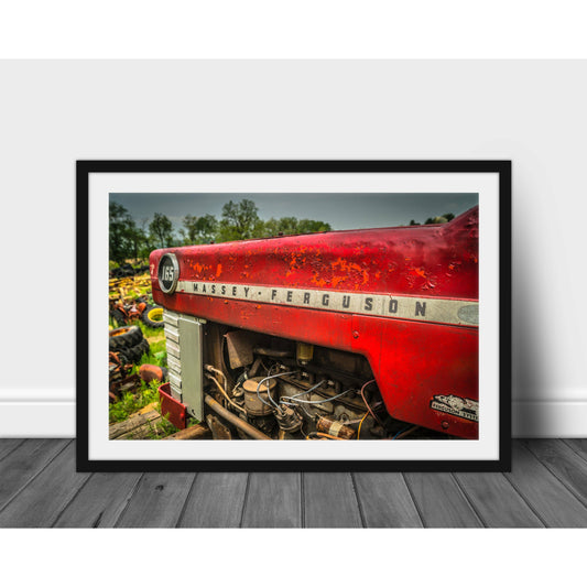 Massey - Scott Krycia Photography