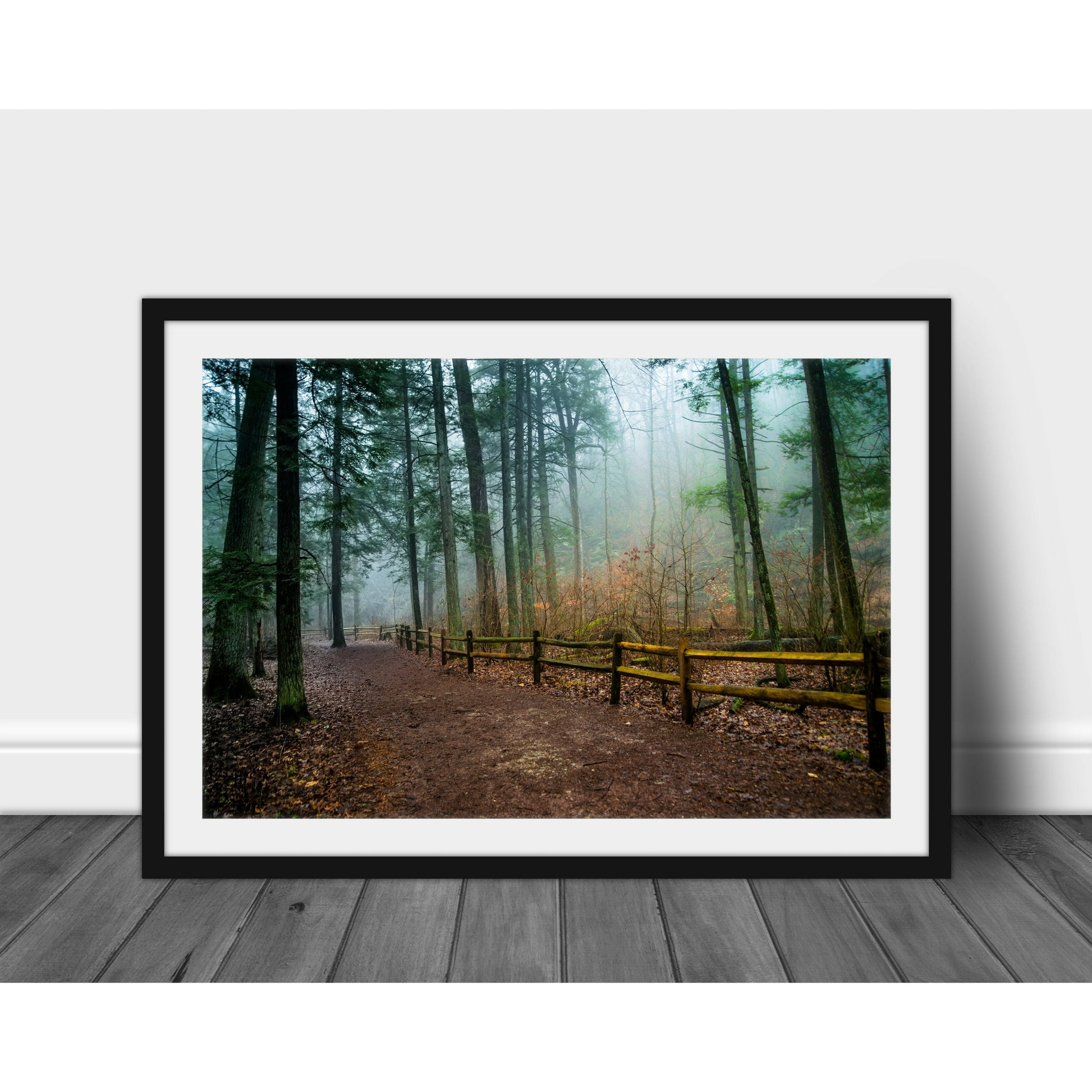 Foggy Path - Scott Krycia Photography