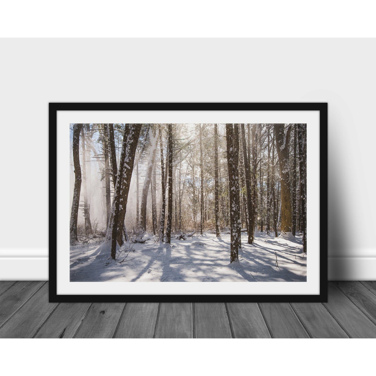 Winter Woods - Scott Krycia Photography