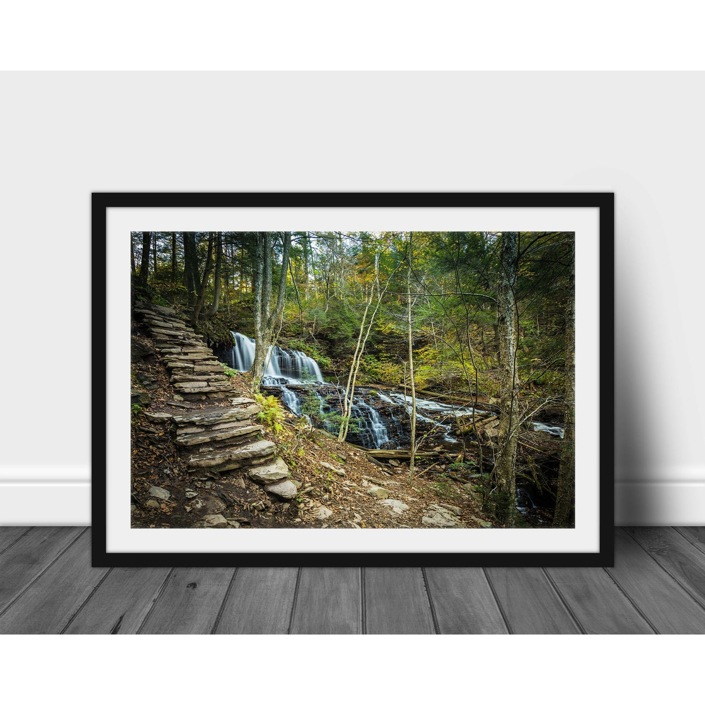 Ricketts Glenn Waterfall #5 - Scott Krycia Photography