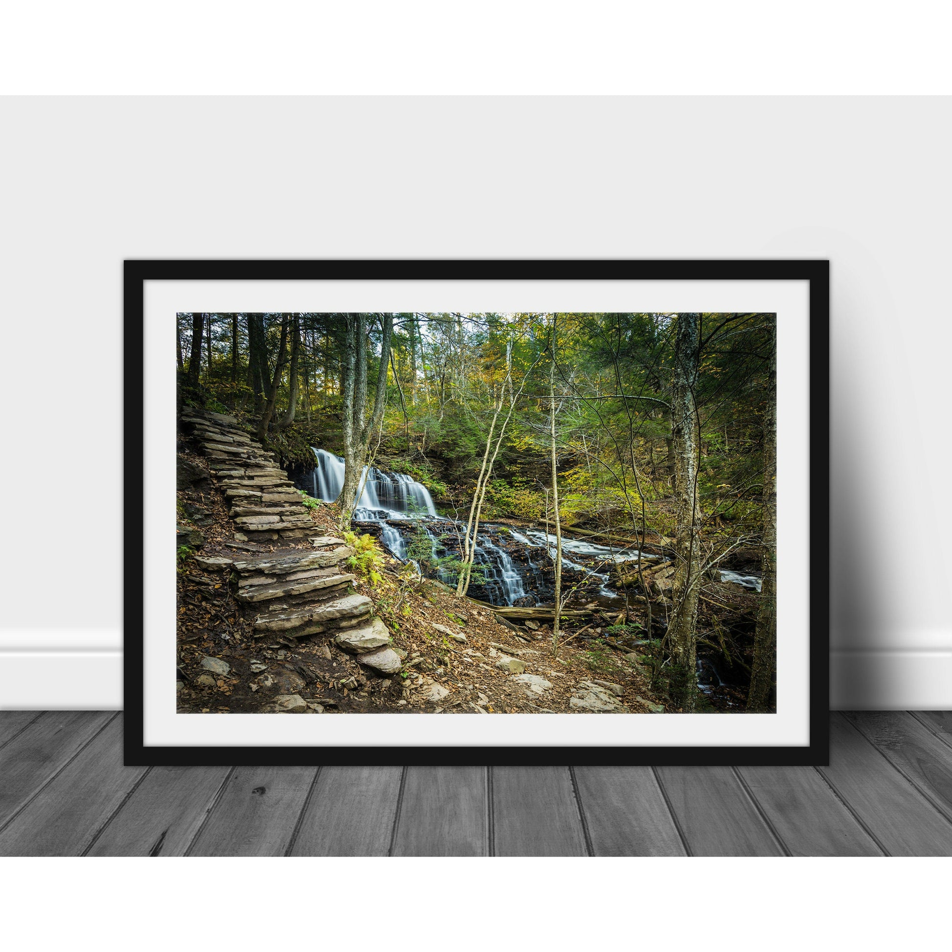 Ricketts Glenn Waterfall #5 - Scott Krycia Photography