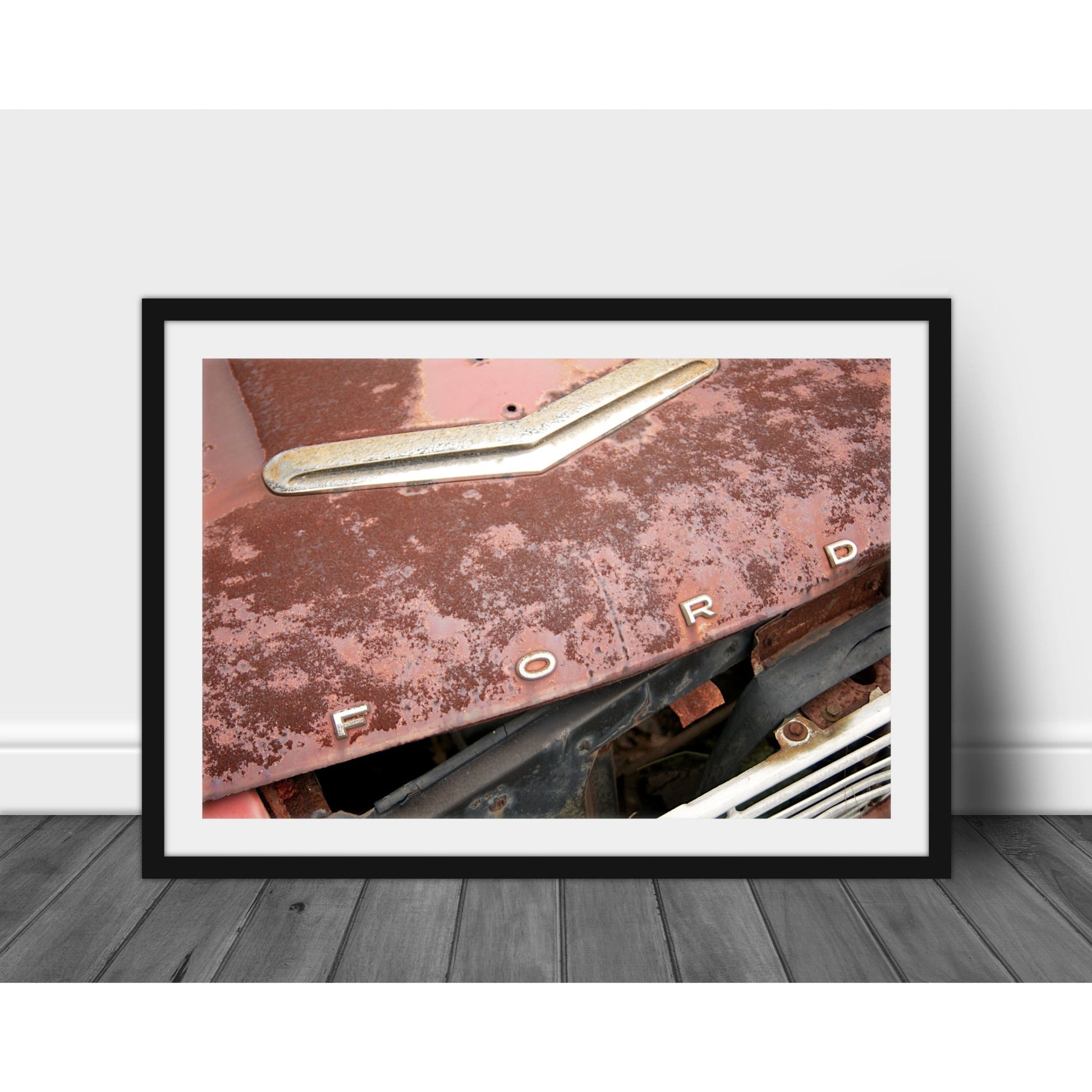 Falcon - Scott Krycia Photography