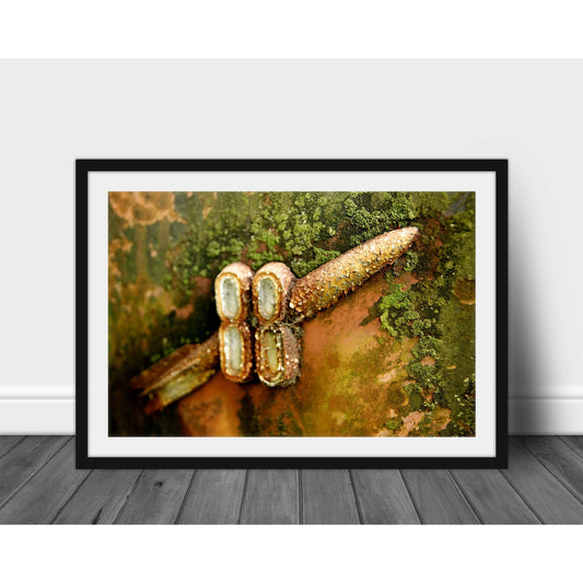 Rocket 88 - Scott Krycia Photography