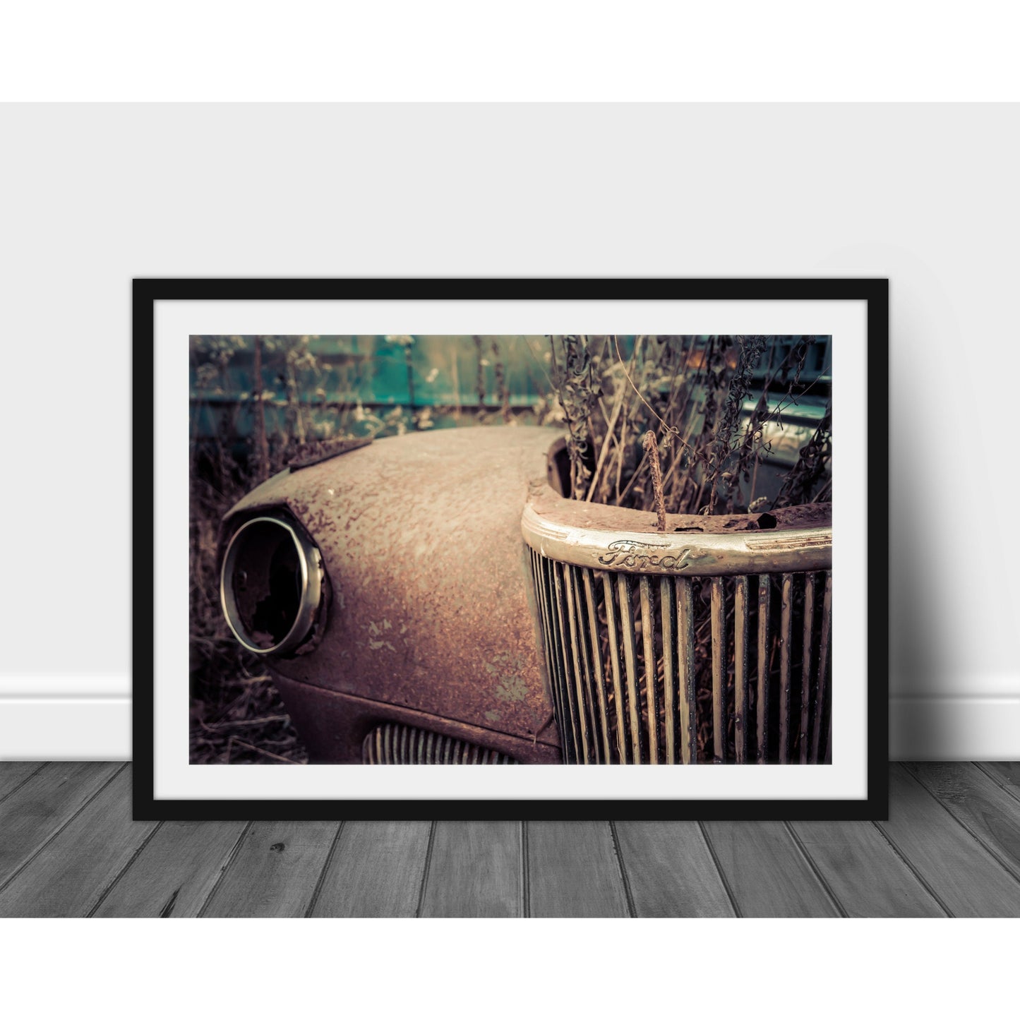 Planted - Scott Krycia Photography