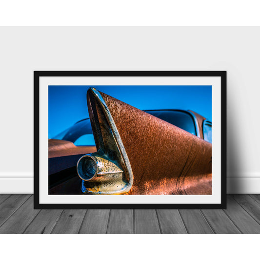 Fin #2 - Scott Krycia Photography