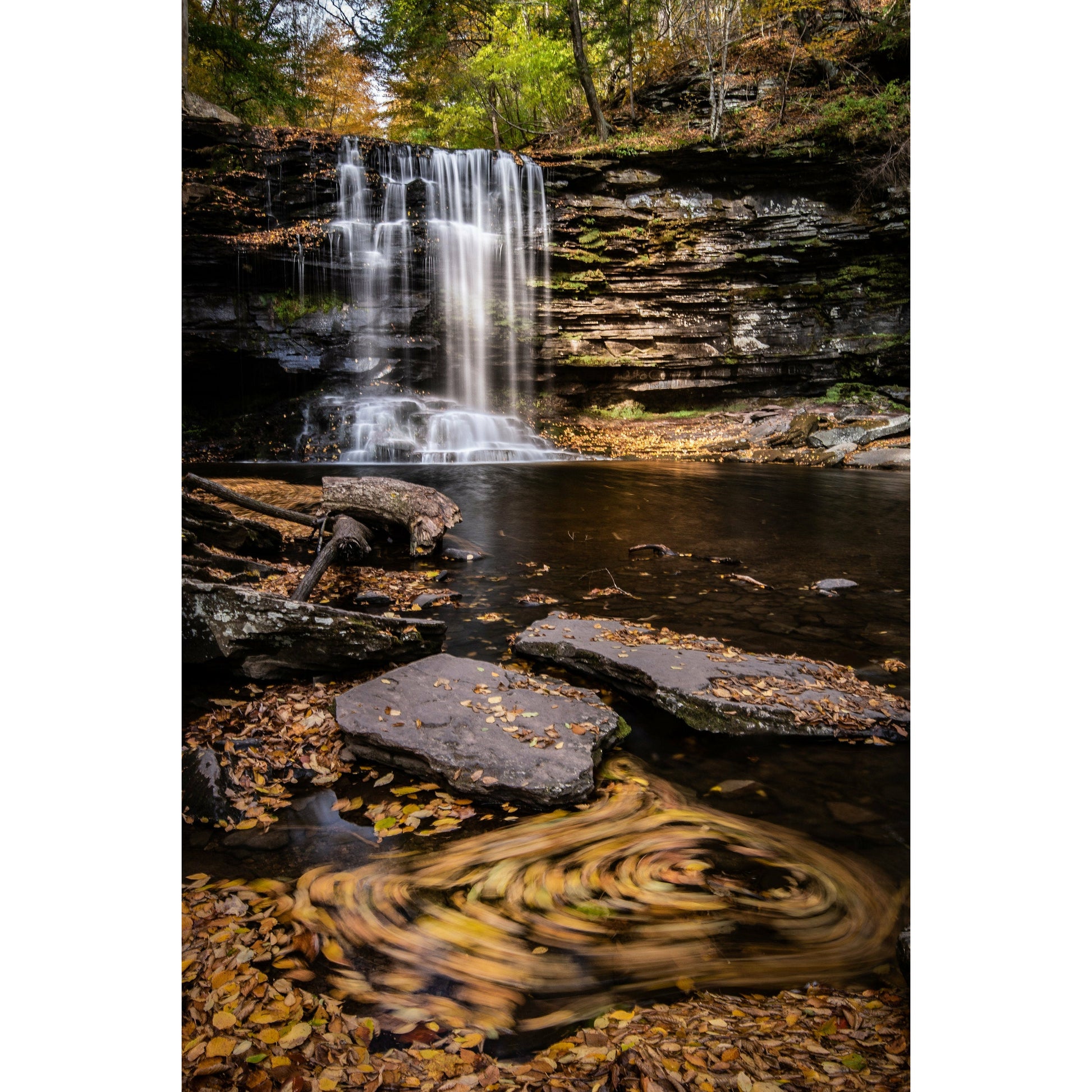 Ricketts Glenn #1 - Scott Krycia Photography