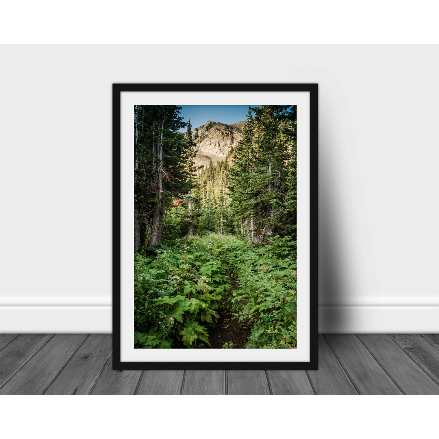 Poi Lake Pass - Scott Krycia Photography