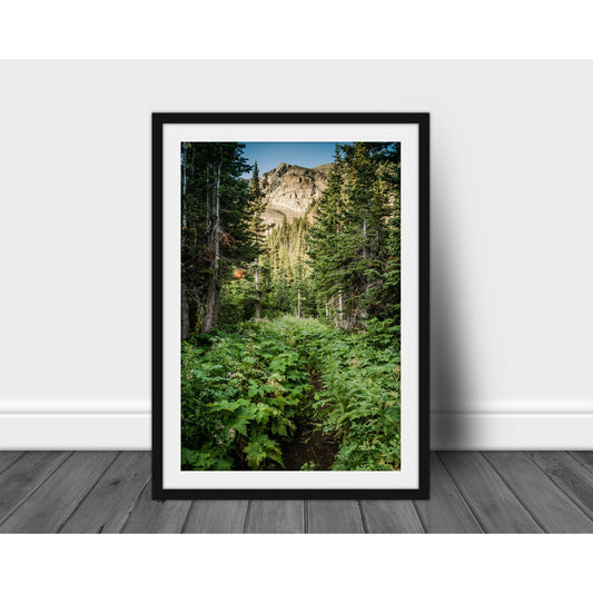 Poi Lake Pass - Scott Krycia Photography