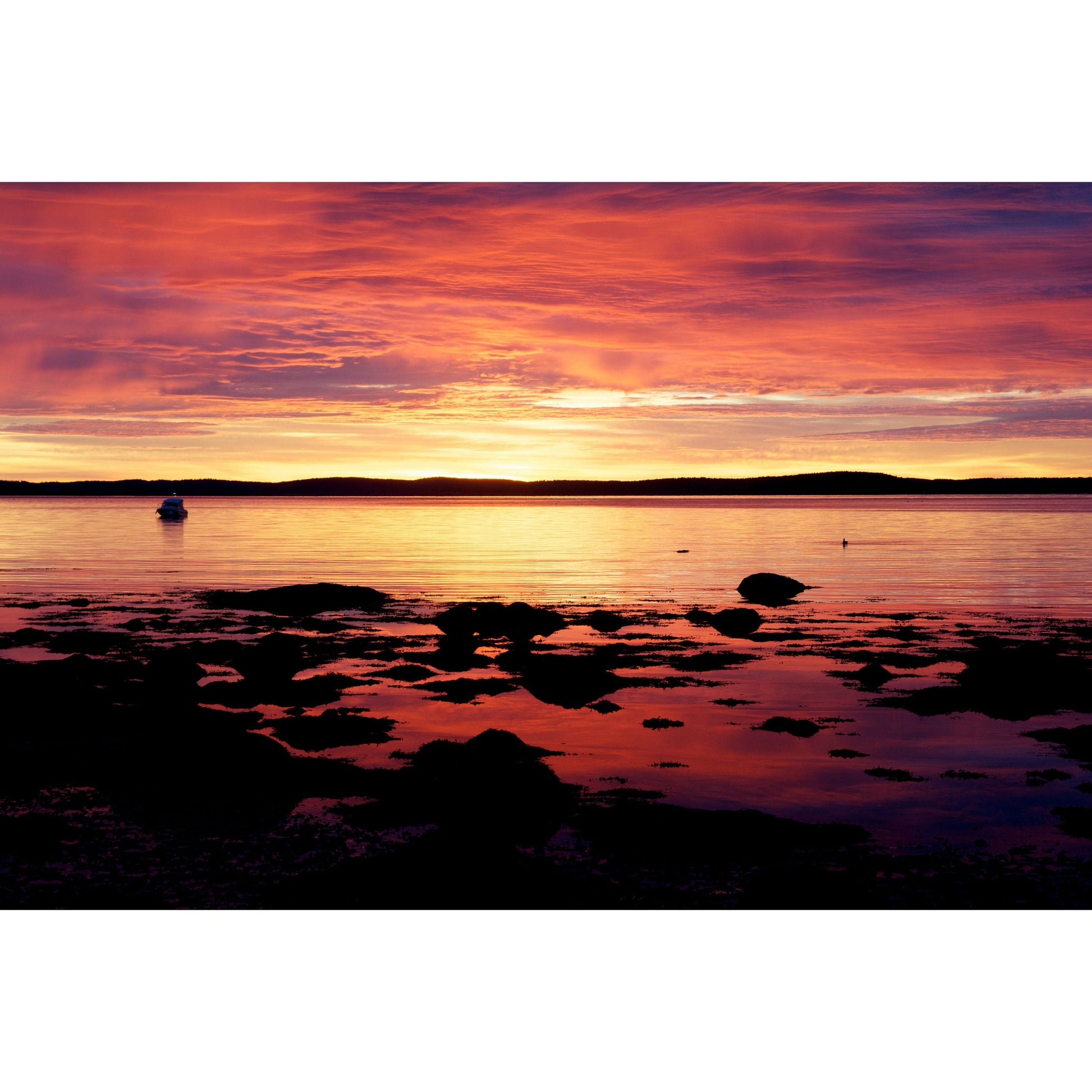 Hulls Cove Sunrise - Scott Krycia Photography