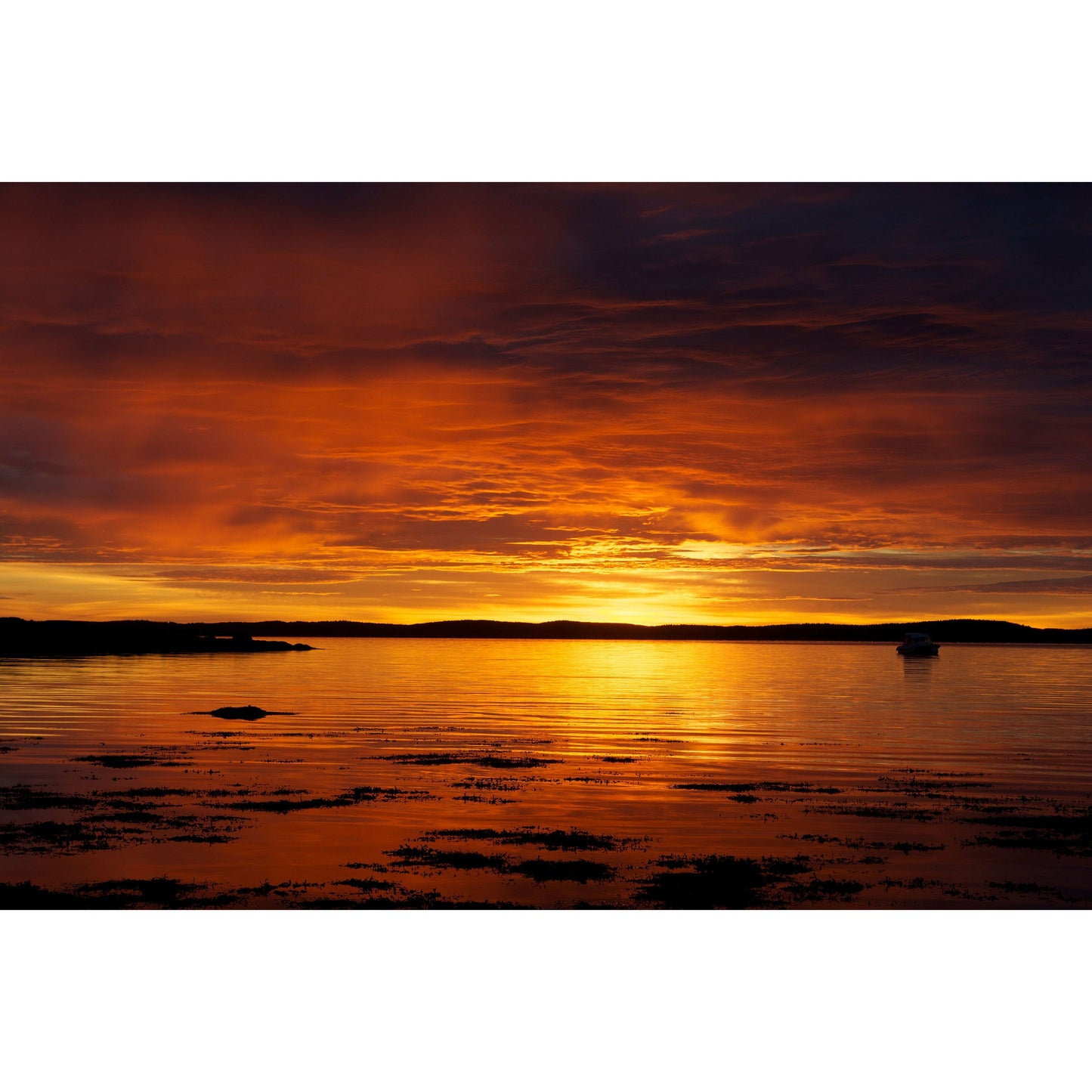 Hulls Cove Sunrise #2 - Scott Krycia Photography