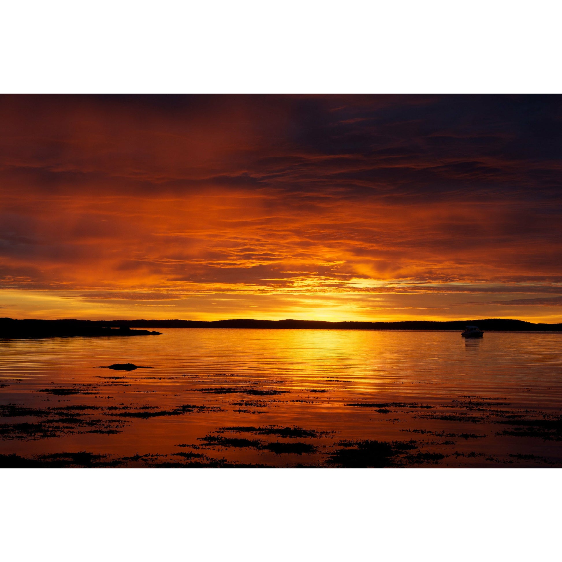 Hulls Cove Sunrise #2 - Scott Krycia Photography