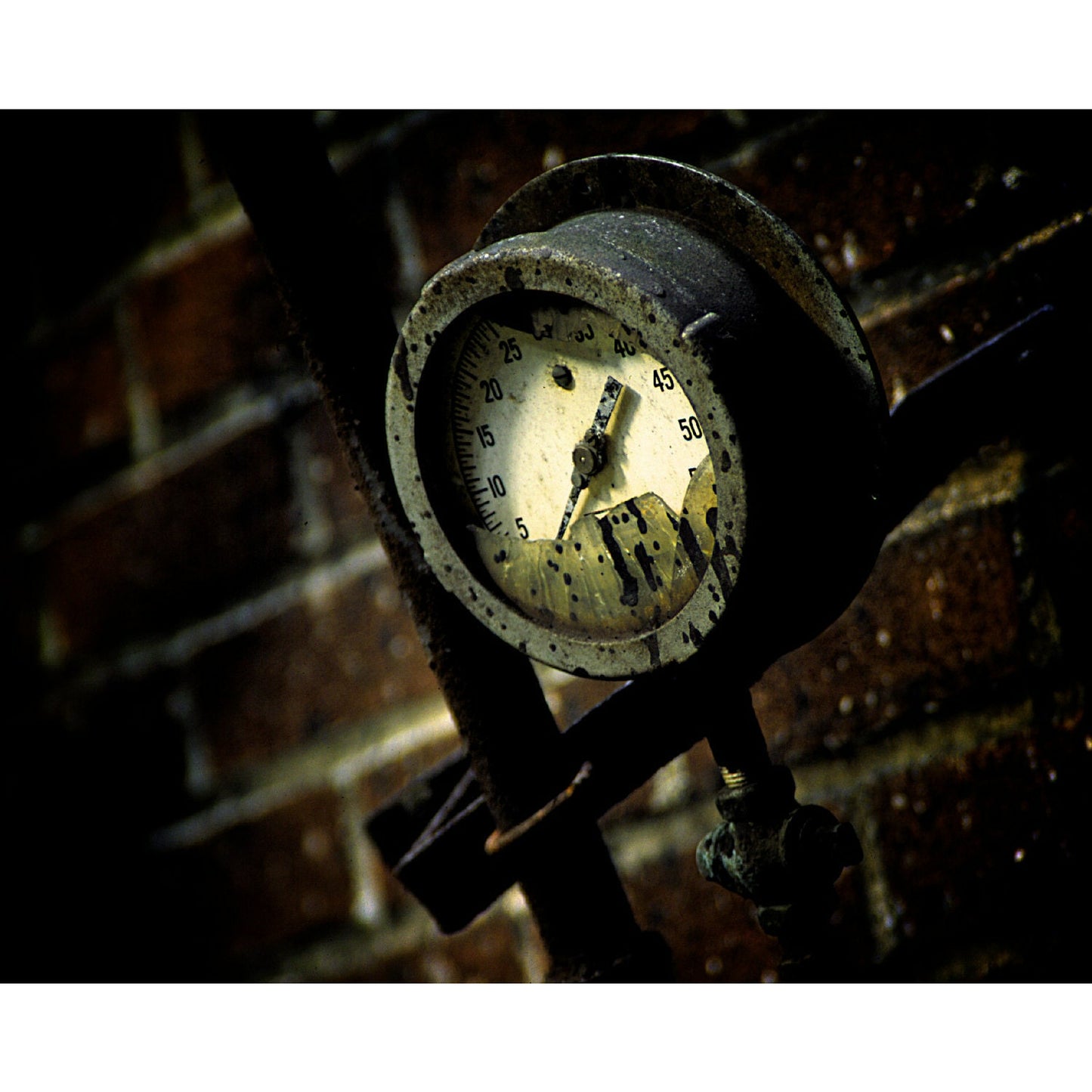 Gauge - Scott Krycia Photography