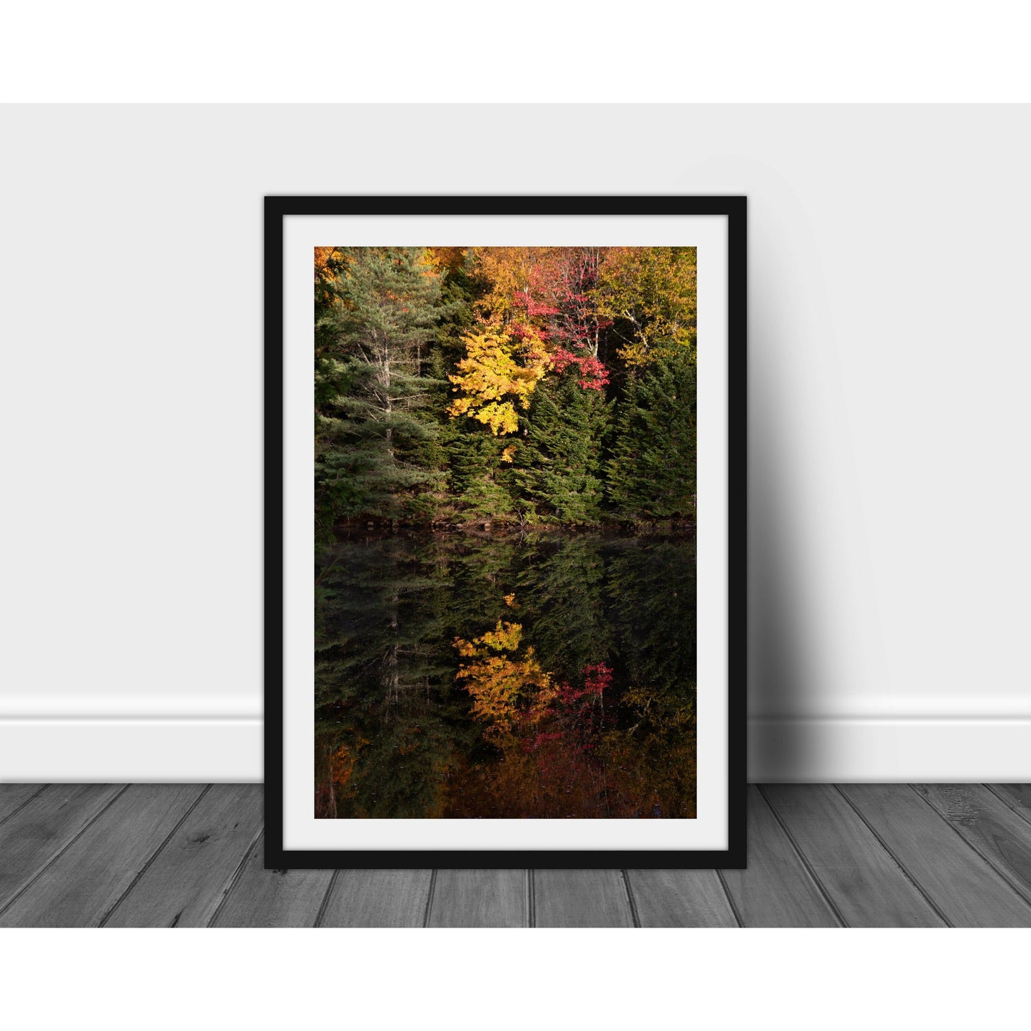 Lake Color - Scott Krycia Photography