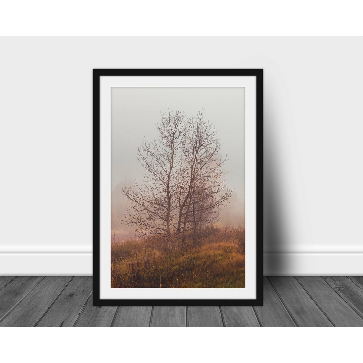 Foggy Morning - Scott Krycia Photography