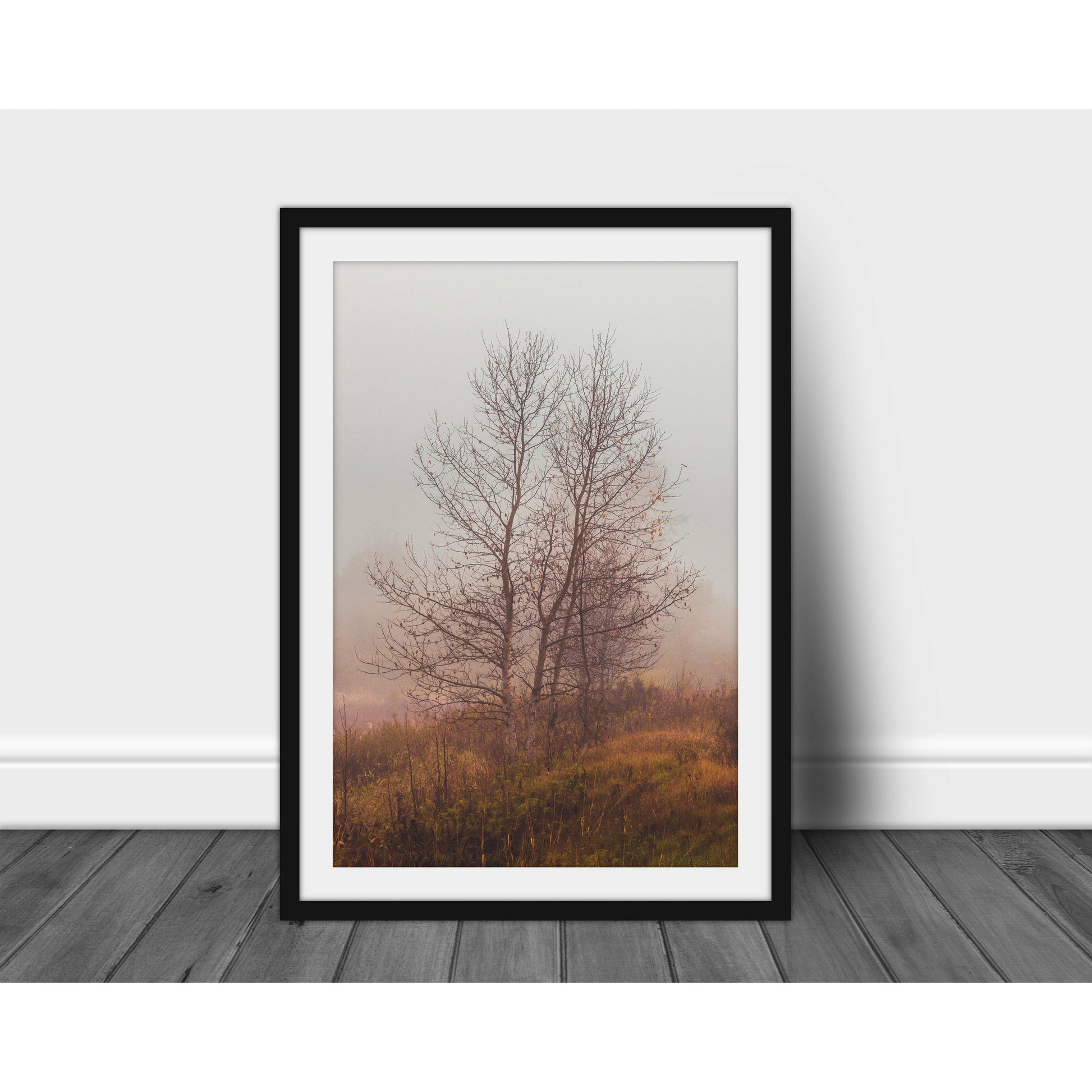 Foggy Morning - Scott Krycia Photography