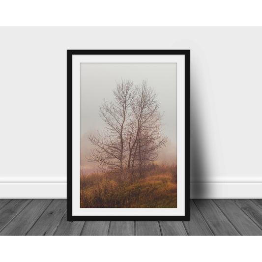 Foggy Morning - Scott Krycia Photography