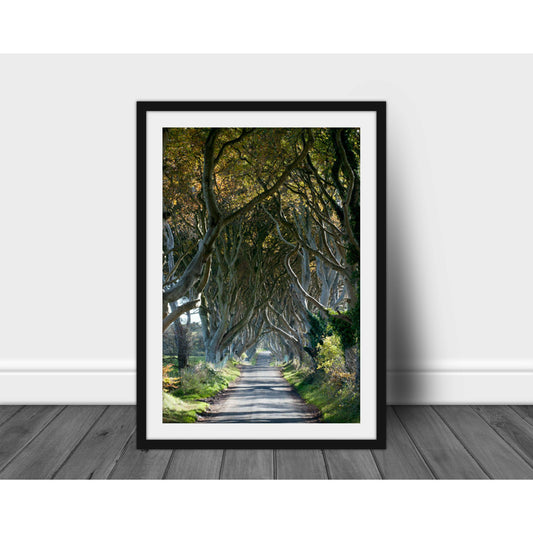 The Tangled Wood - Scott Krycia Photography