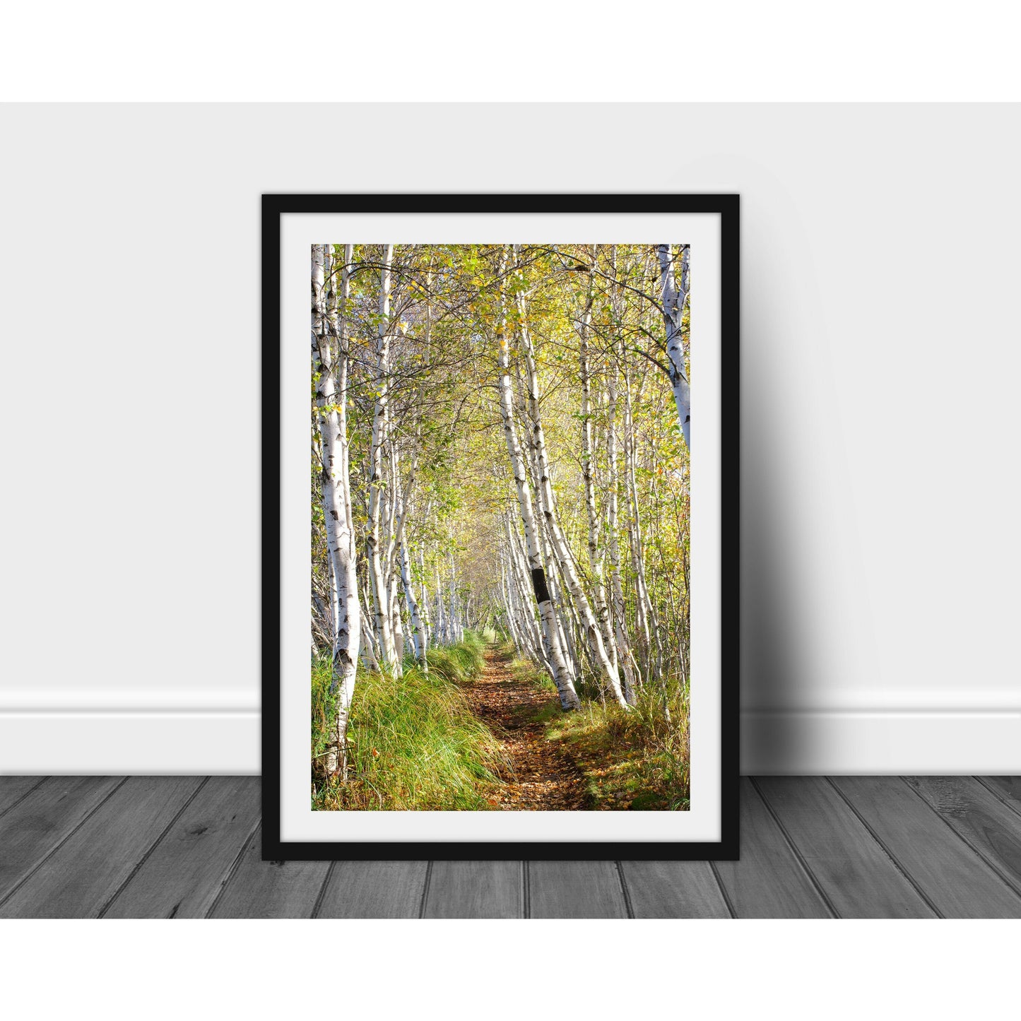 Jessop Path - Scott Krycia Photography