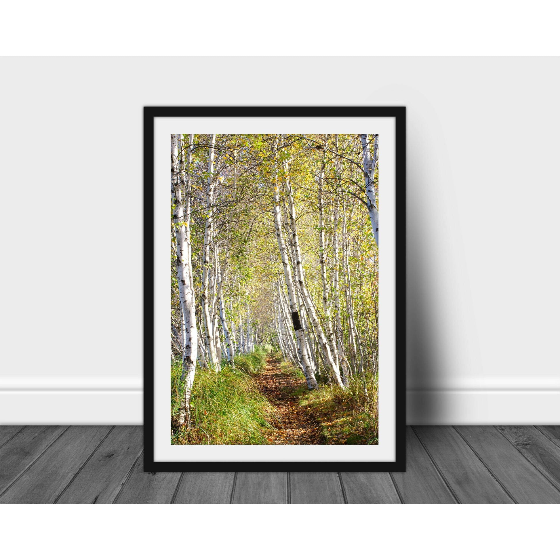 Jessop Path - Scott Krycia Photography