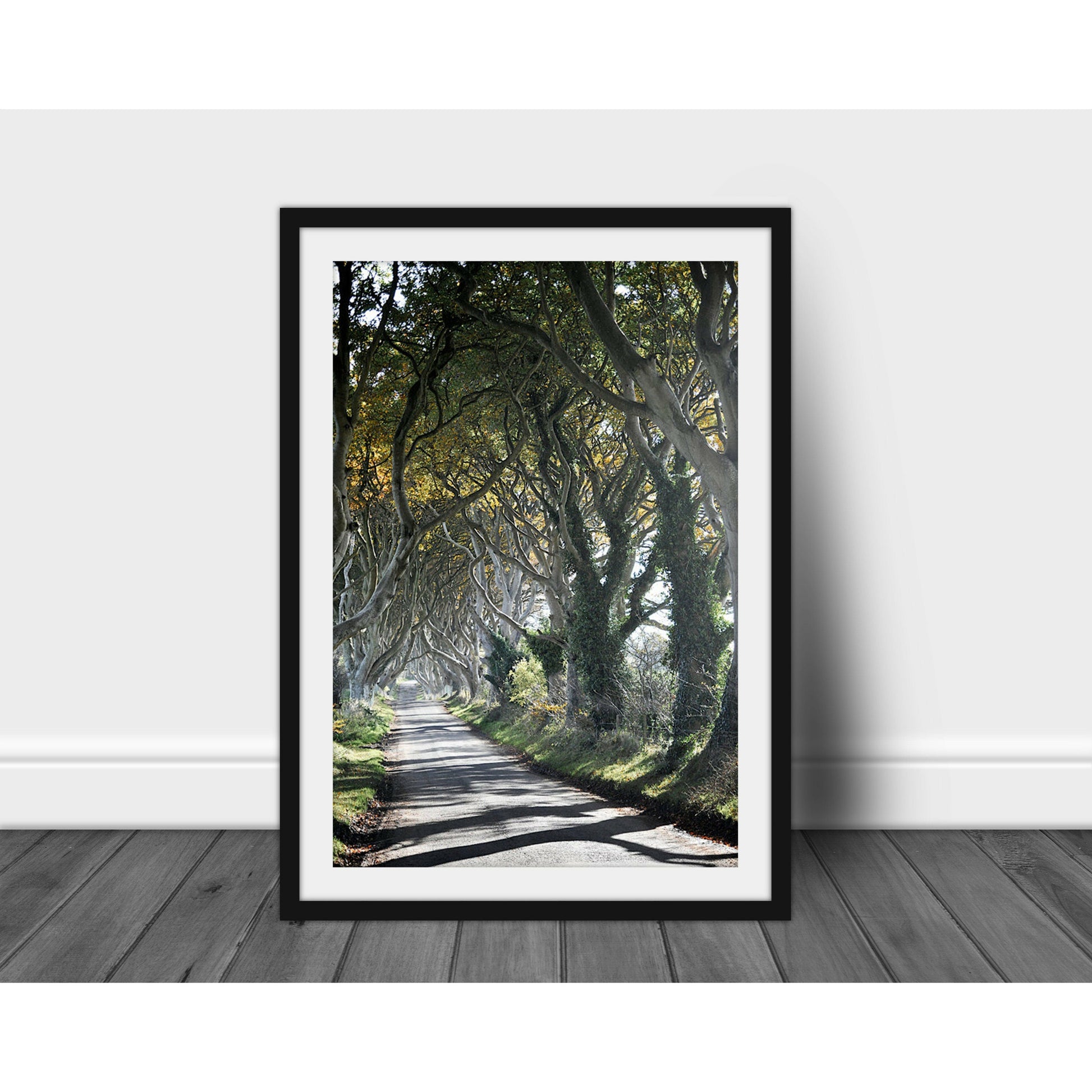 The Tangled Wood #2 - Scott Krycia Photography