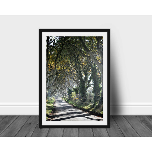 The Tangled Wood #2 - Scott Krycia Photography