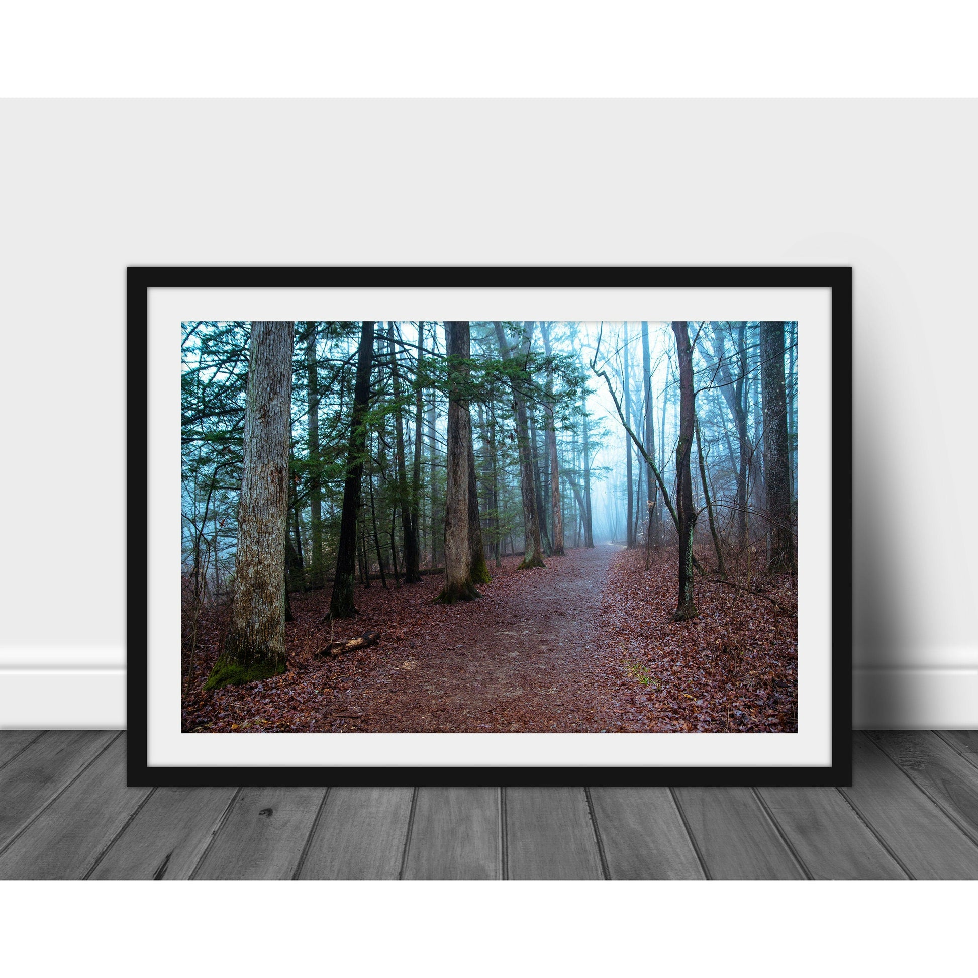 Foggy Path #2 - Scott Krycia Photography